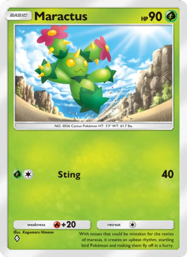 Maractus
