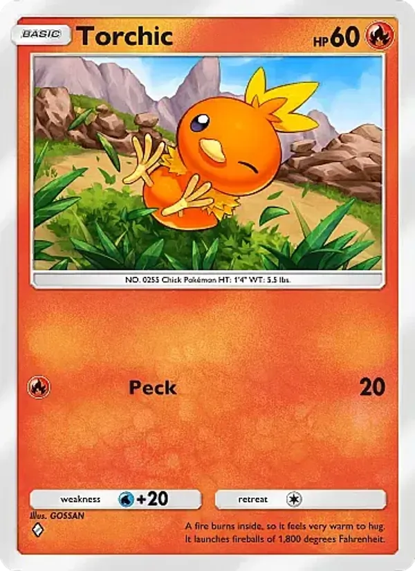 Torchic